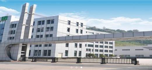 重慶市電纜行業(yè) 山城脈絡，賦能發(fā)展新篇章